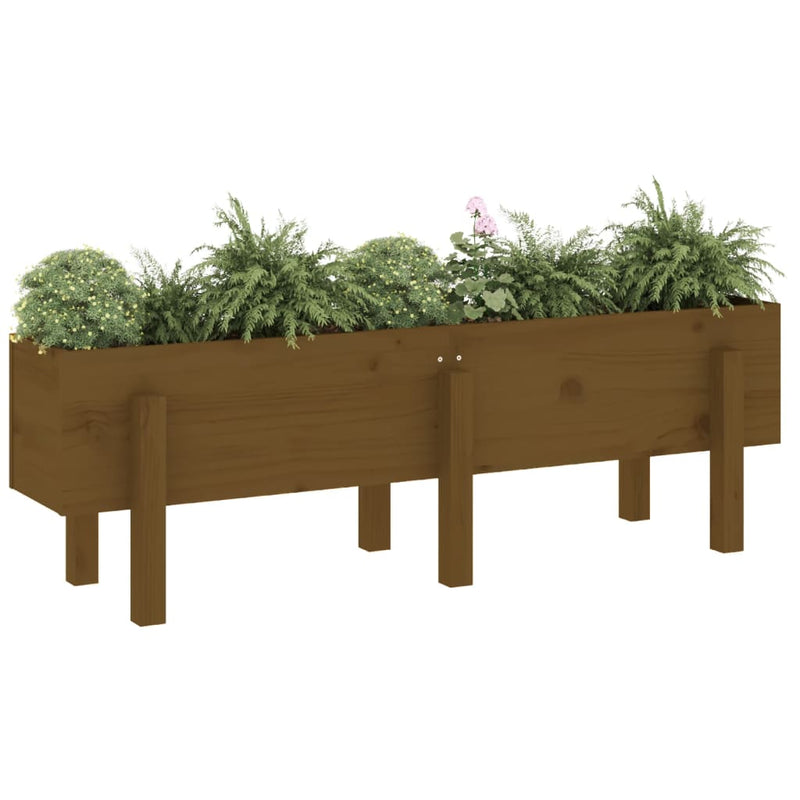 Load image into Gallery viewer, VidaXL Plantenbak verhoogd 121x30x38 cm massief grenenhout honingbruin
