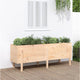 Vidaxl plantenbak verhoogd 160x50x57 cm massief grenenhout