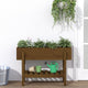 Vidaxl plantenbak verhoogd 101x30x69 cm massief grenenhout honingbruin