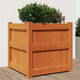 Vidaxl plantenbak 50x50x50 cm massief grenenhout wasbruin