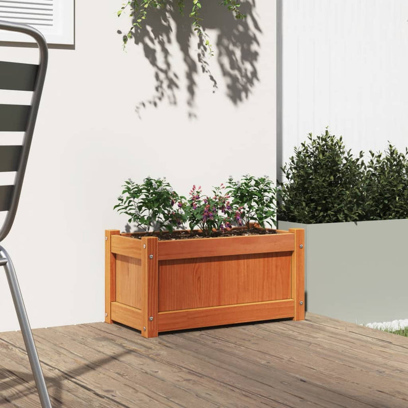 Load image into Gallery viewer, Vidaxl plantenbak 60x31x31 cm massief grenenhout wasbruin
