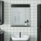 Vidaxl badkamerspiegel met schap berg 60x12x70 cm massief hout zwart