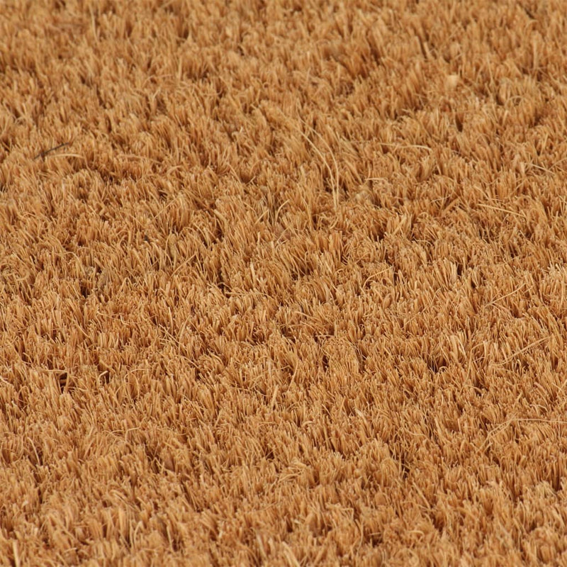 Load image into Gallery viewer, Vidaxl deurmat 50x80 cm getufte kokosvezel naturel
