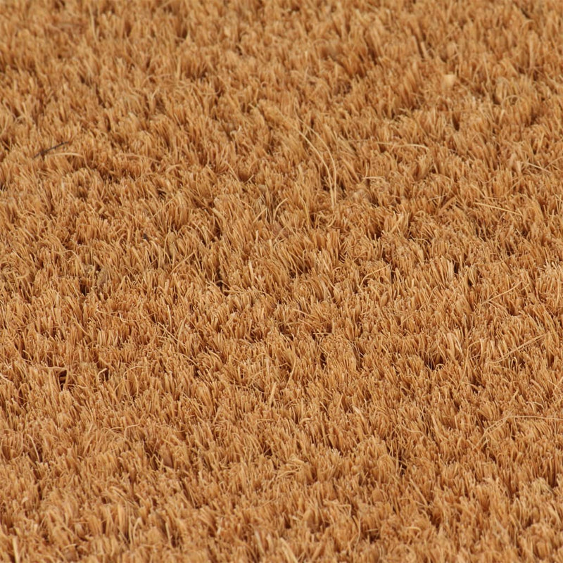 Load image into Gallery viewer, Vidaxl deurmat 40x60 cm getufte kokosvezel naturel
