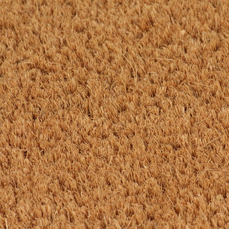 Load image into Gallery viewer, Vidaxl deurmat 50x80 cm getufte kokosvezel naturel
