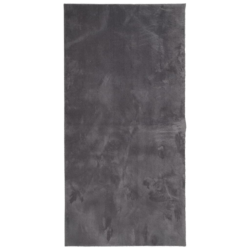 Afbeelding laden in galerijviewer, Vidaxl vloerkleed huarte laagpolig zacht wasbaar 100x200 cm antraciet
