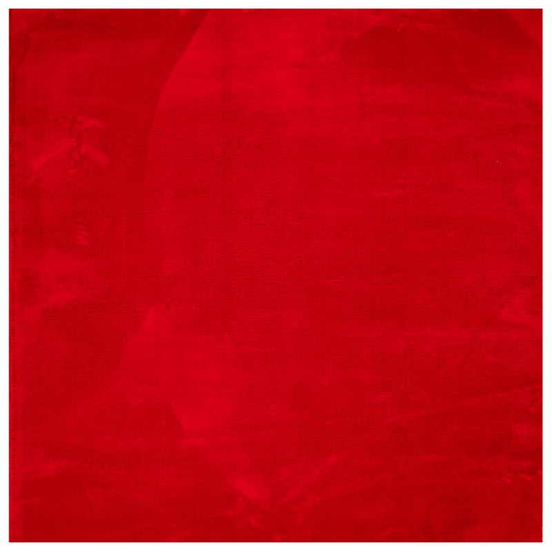 Afbeelding laden in galerijviewer, Vidaxl vloerkleed huarte laagpolig zacht wasbaar 160x160 cm rood
