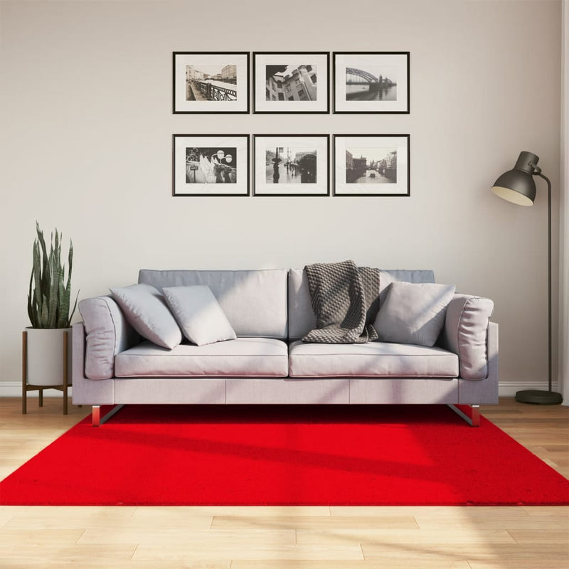Afbeelding laden in galerijviewer, Vidaxl vloerkleed huarte laagpolig zacht wasbaar 160x160 cm rood
