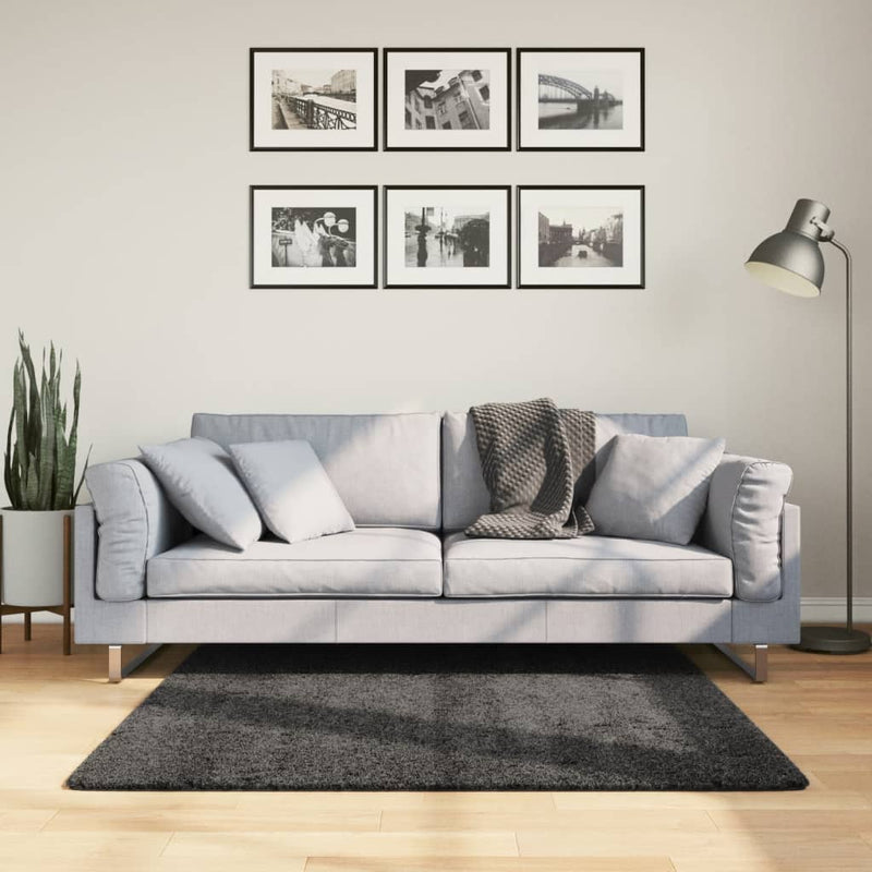 Load image into Gallery viewer, VidaXL Vloerkleed PAMPLONA shaggy hoogpolig 120x120 cm antraciet

