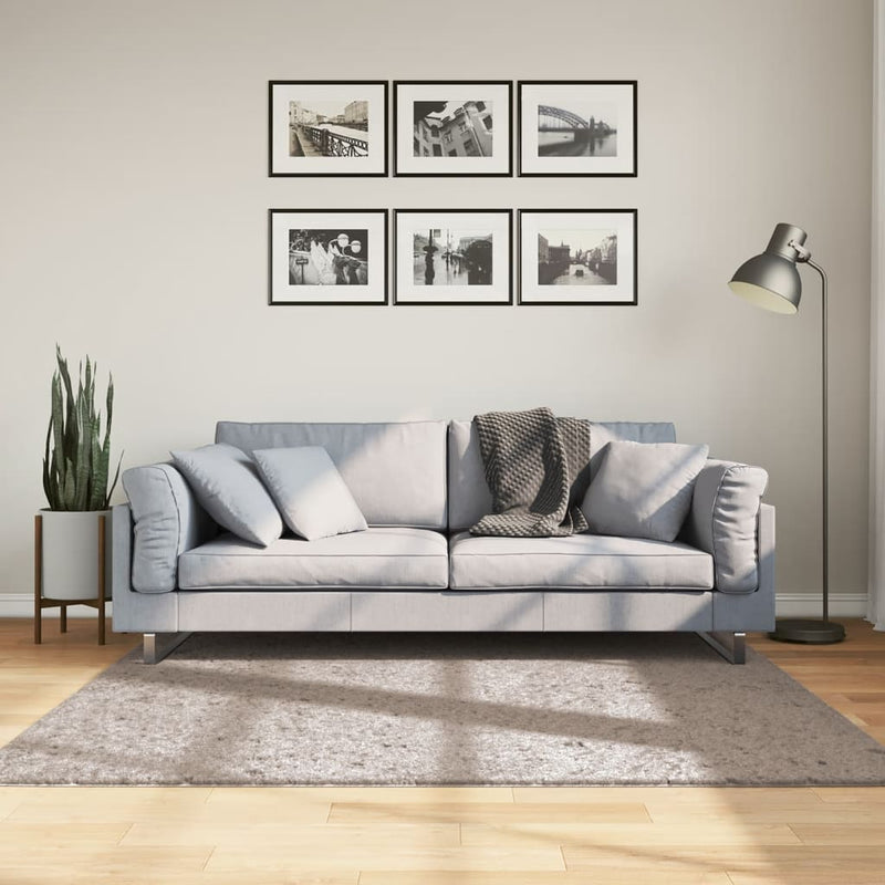 Load image into Gallery viewer, Vidaxl vloerkleed pamplona shaggy hoogpolig modern 160x160 cm beige
