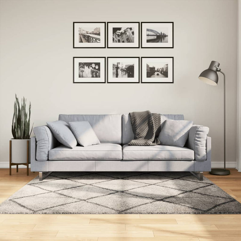 Load image into Gallery viewer, Vidaxl vloerkleed pamplona shaggy hoogpolig 160x160 cm beige antraciet
