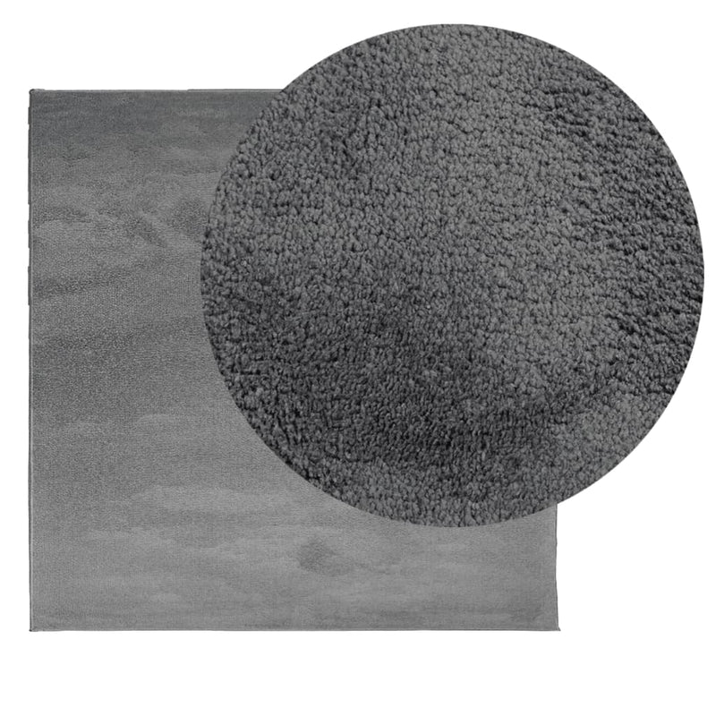 Load image into Gallery viewer, VidaXL Vloerkleed OVIEDO laagpolig 160x160 cm antracietkleurig
