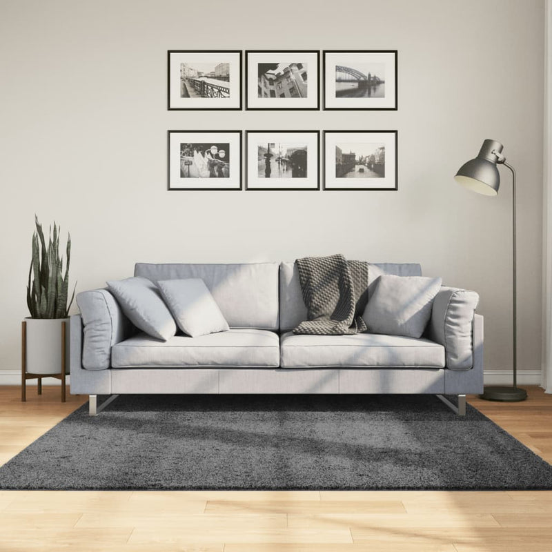 Load image into Gallery viewer, VidaXL Vloerkleed OVIEDO laagpolig 160x160 cm antracietkleurig
