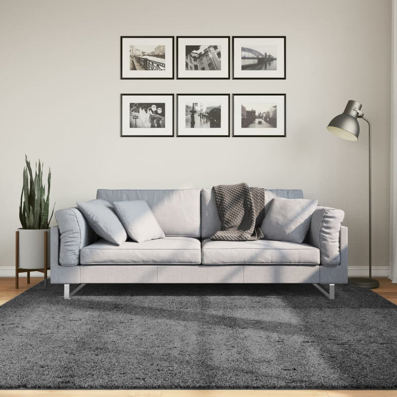 Load image into Gallery viewer, Vidaxl vloerkleed oviedo laagpolig 200x200 cm antracietkleurig
