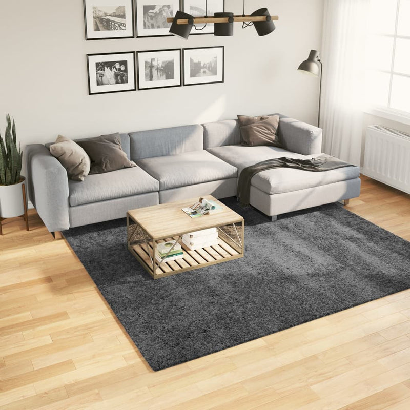 Load image into Gallery viewer, Vidaxl vloerkleed oviedo laagpolig 240x240 cm antracietkleurig
