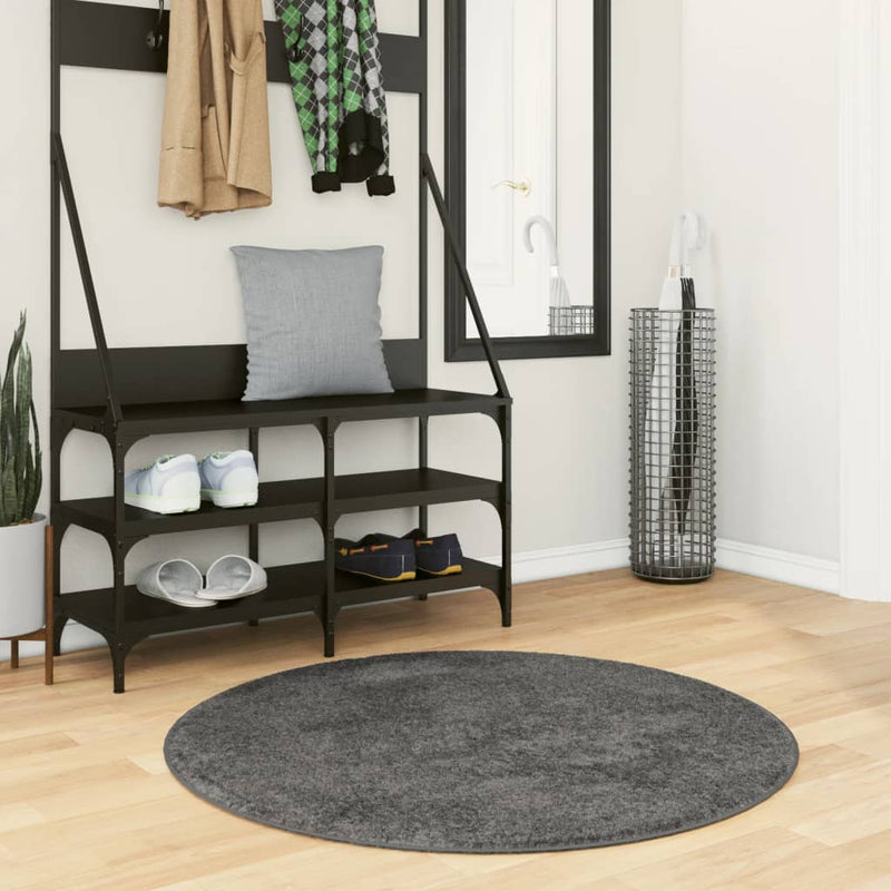 Load image into Gallery viewer, VidaXL Vloerkleed OVIEDO laagpolig Ø 100 cm antracietkleurig
