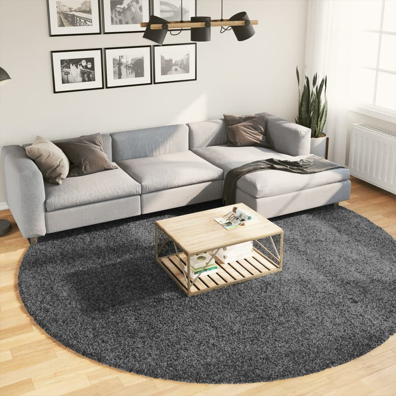 Load image into Gallery viewer, VidaXL Vloerkleed OVIEDO laagpolig Ø 280 cm antracietkleurig
