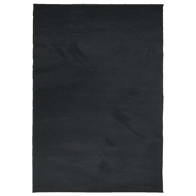 Load image into Gallery viewer, Vidaxl vloerkleed oviedo laagpolig 160x230 cm zwart
