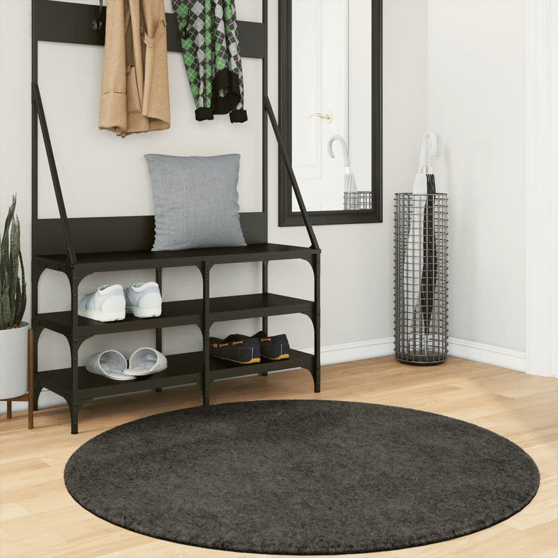 Load image into Gallery viewer, Vidaxl vloerkleed istan hoogpolig glanzend ø 120 cm asntracietkleurig

