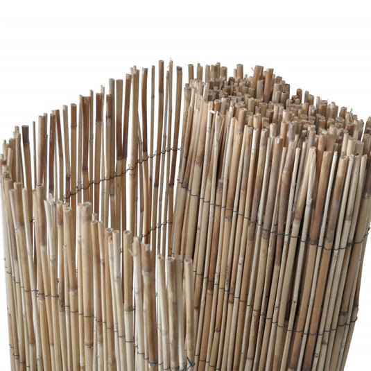 Vidaxl tuinscherm 400x100 cm riet