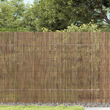 Vidaxl tuinscherm 400x100 cm riet