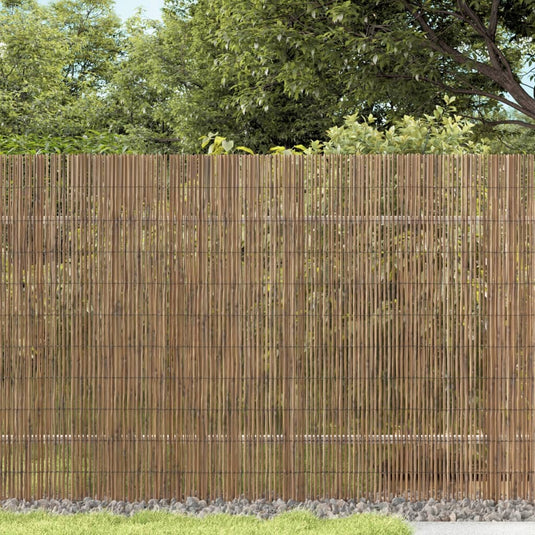 Vidaxl tuinscherm 400x100 cm riet