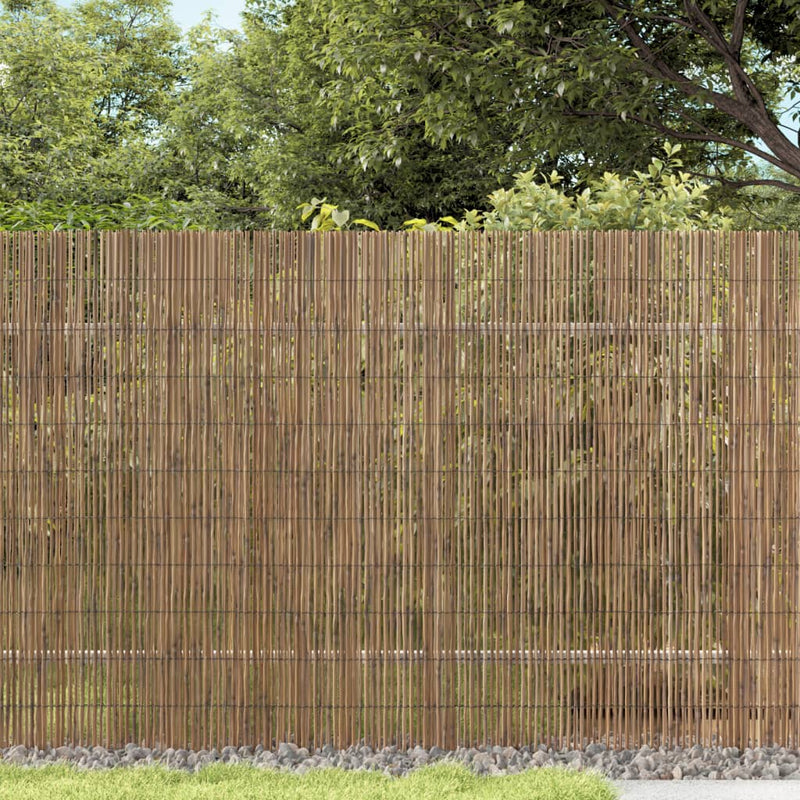 Load image into Gallery viewer, Vidaxl tuinscherm 600x100 cm riet

