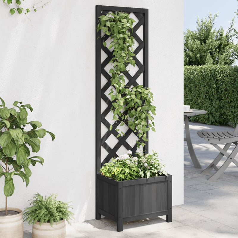 Load image into Gallery viewer, Vidaxl plantenbak met latwerk massief vurenhout zwart
