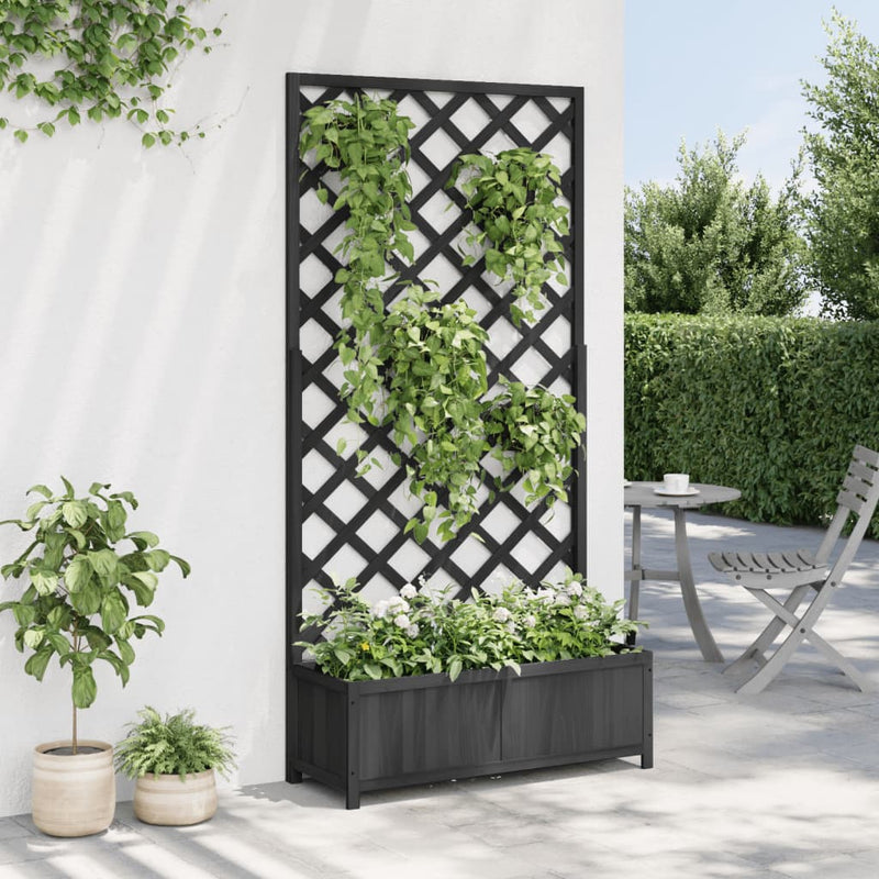 Load image into Gallery viewer, Vidaxl plantenbak met latwerk massief vurenhout zwart
