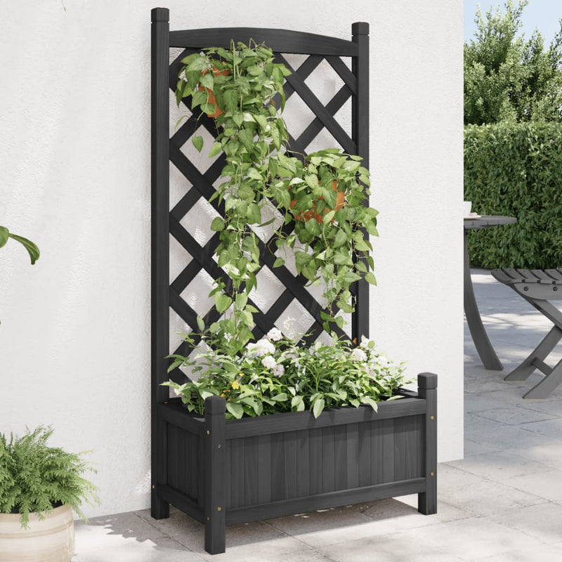 Load image into Gallery viewer, Vidaxl plantenbak met latwerk massief vurenhout zwart

