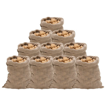 Vidaxl jutezakken 10 stuks 220 g m² 60x105 cm 100% jute