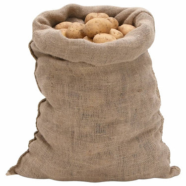 Vidaxl jutezakken 10 stuks 220 g m² 60x105 cm 100% jute