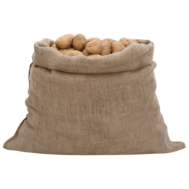 Vidaxl jutezakken 5 stuks 100x110 cm 100% jute 220 g m²