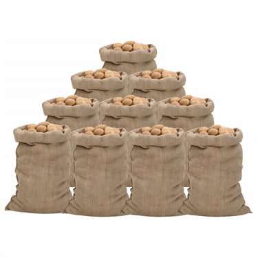 Vidaxl jutezakken 10 stuks 340 g m² 60x105 cm 100% jute