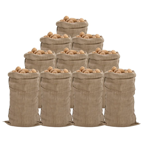 VidaXL Jutezakken 10 stuks 340 g m² 65x135 cm 100% jute