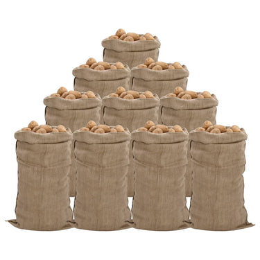 Vidaxl jutezakken 10 stuks 65x135 cm 100% jute 340 g m²