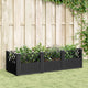 Vidaxl plantenbak met pinnen 123,5x43,5x43,5 cm polypropeen zwart