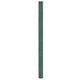 Vidaxl worteldoek 2x150 m polypropeen groen