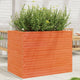 VidaXL Plantenbak 90x60x68,5 cm massief grenenhout wasbruin