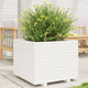 VidaXL Plantenbak 60x60x49,5 cm massief grenenhout wit
