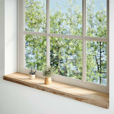 Vidaxl vensterbanken 2 st onbehandeld 110x20x2 cm massief eikenhout