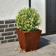 Vidaxl plantenbakken 2 st 30x30x30 cm weervast staal