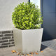 Vidaxl plantenbakken 2 st 50x50x50 cm roestvrij staal