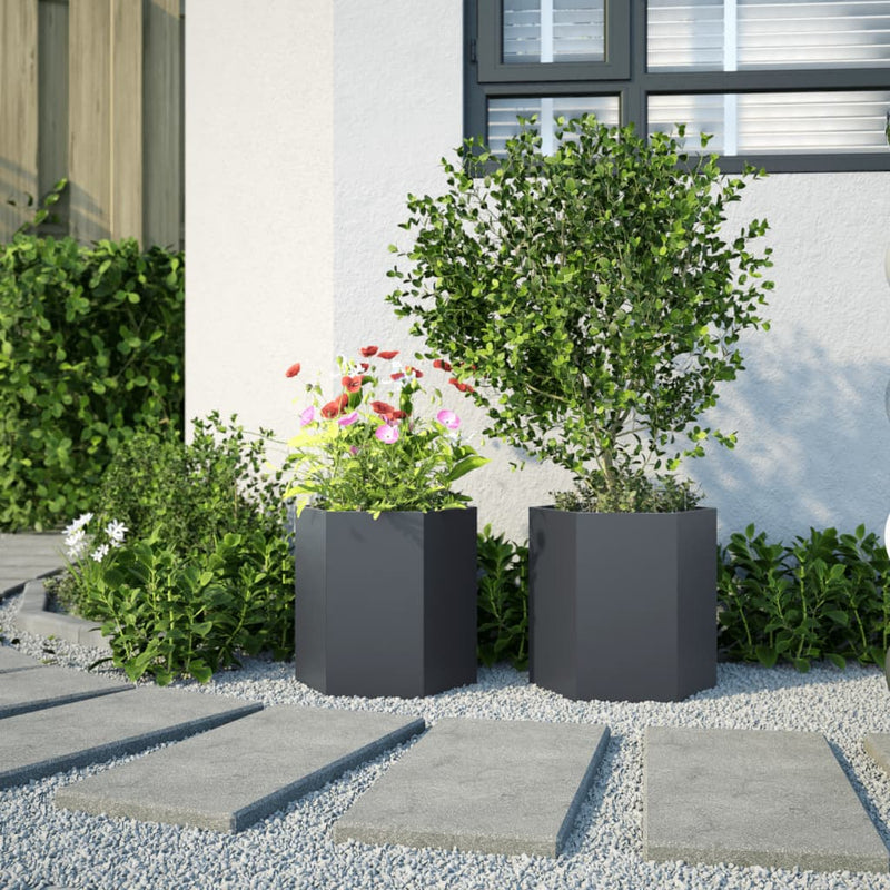 Load image into Gallery viewer, Vidaxl plantenbakken 2 st zeshoek 46x40x45 cm staal antracietkleurig
