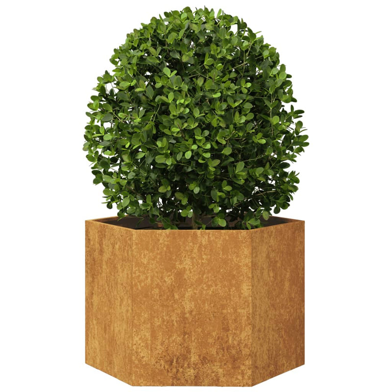 Load image into Gallery viewer, Vidaxl plantenbak zeshoek 69x60x45 cm weervast staal
