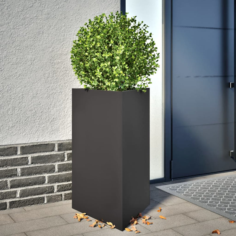 Load image into Gallery viewer, Vidaxl plantenbakken 2 st driehoek 50x43x75 cm staal zwart

