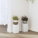 Vidaxl plantenstandaards 2 st 10x10x18 cm bewerkt hout wit