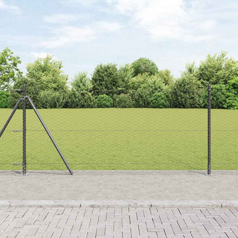 Load image into Gallery viewer, Vidaxl afrasteringspaal grijs 25 x 1 m (36 mm gaas) staal
