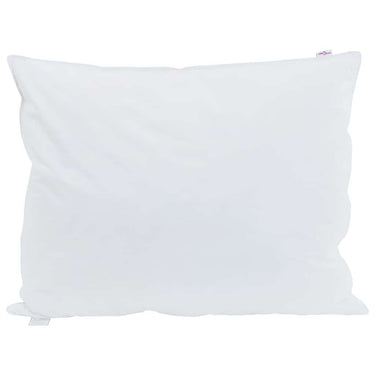 Vidaxl hoofdkussen met kussen 2 pcs wit 30 x 50 cm veren