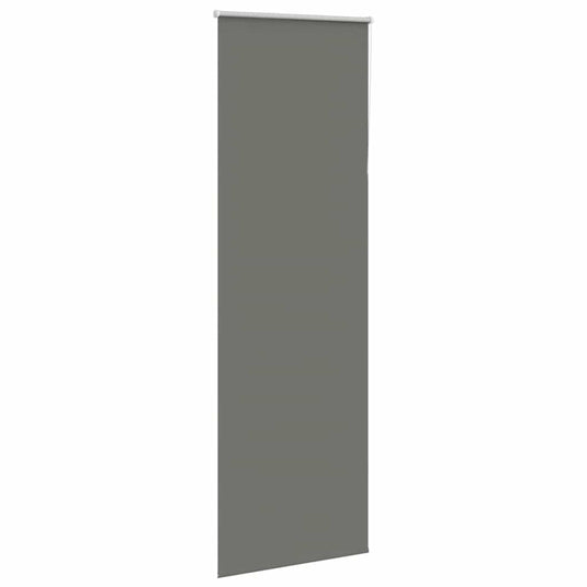 Vidaxl rolgordijn verduisterend 65x210cm stofbreedte 60,7 cm polyester